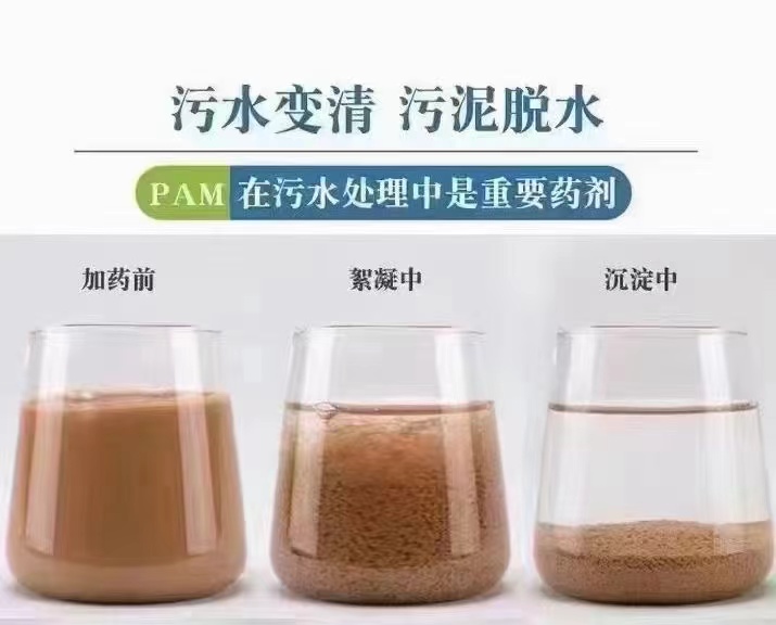 PAM阳离子有口皆碑同城厂家