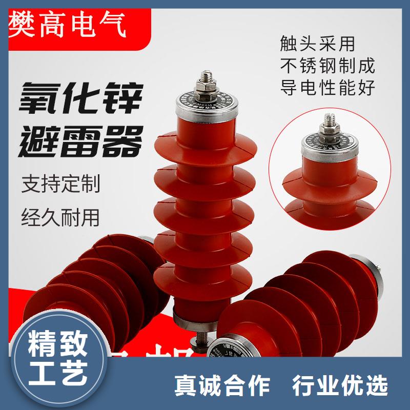 JSY-10/800避雷器计数器同行低价