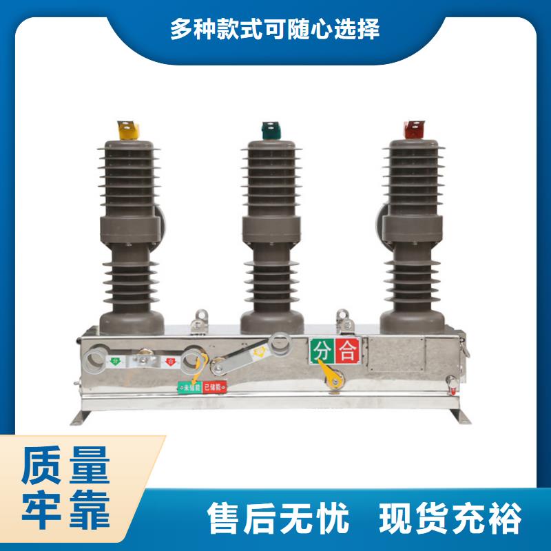 ZN28-12T/2500-31.5真空断路器实力才是硬道理