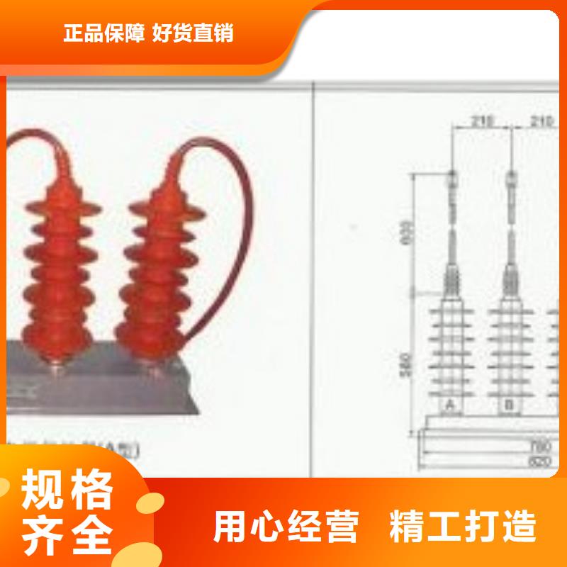 TBP-B-7.6F/131过电压保护器附近制造商