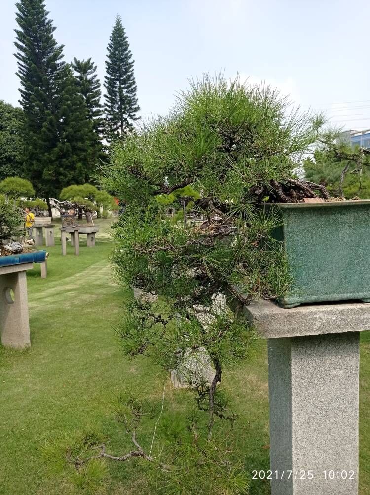 黑臭蓝藻水体治理
土壤固化剂库存充足把实惠留给您