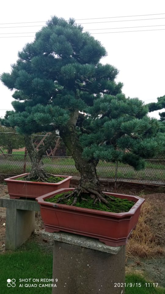 海滩涂建设土壤稳定剂批发价一件也发货