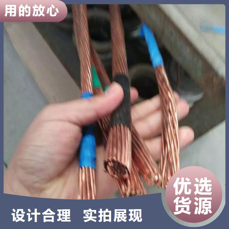 澄迈县镀锡铜绞线规格型号近期行情有现货源厂定制